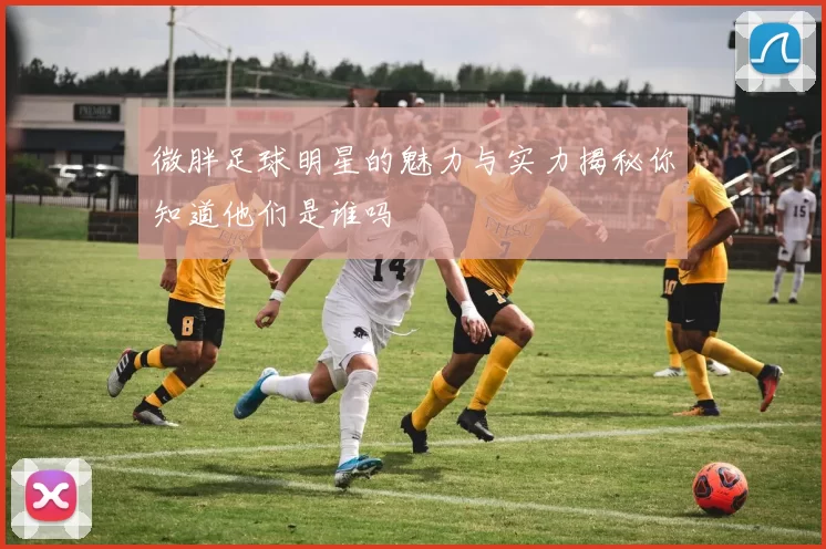 微胖足球明星的魅力与实力揭秘你知道他们是谁吗