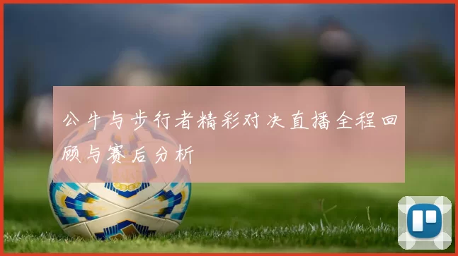 公牛与步行者精彩对决直播全程回顾与赛后分析