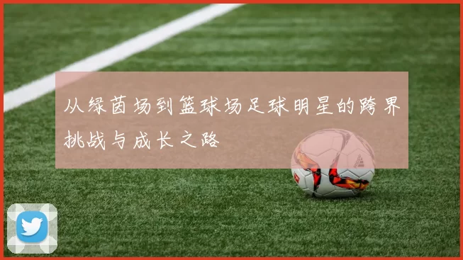 从绿茵场到篮球场足球明星的跨界挑战与成长之路
