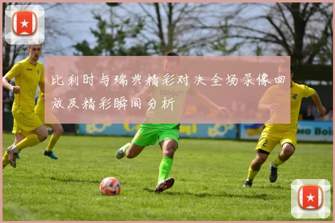 比利时与瑞典精彩对决全场录像回放及精彩瞬间分析