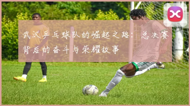 武汉乒乓球队的崛起之路：总决赛背后的奋斗与荣耀故事