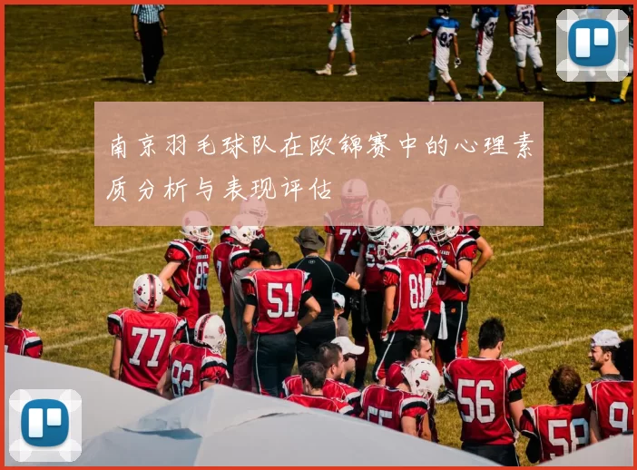 南京羽毛球队在欧锦赛中的心理素质分析与表现评估
