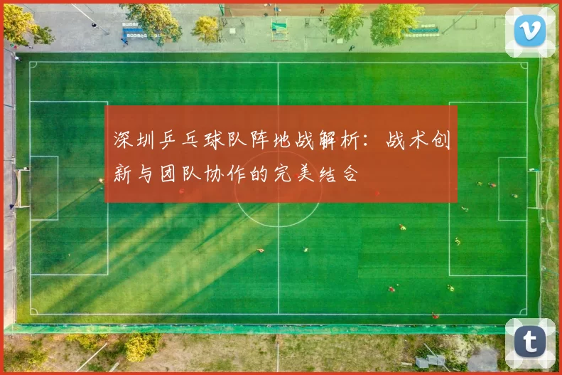 深圳乒乓球队阵地战解析：战术创新与团队协作的完美结合