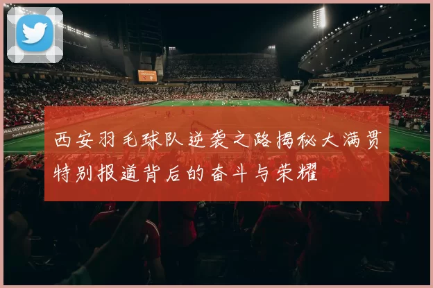 西安羽毛球队逆袭之路揭秘大满贯特别报道背后的奋斗与荣耀