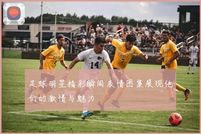 足球明星精彩瞬间表情图集展现他们的激情与魅力
