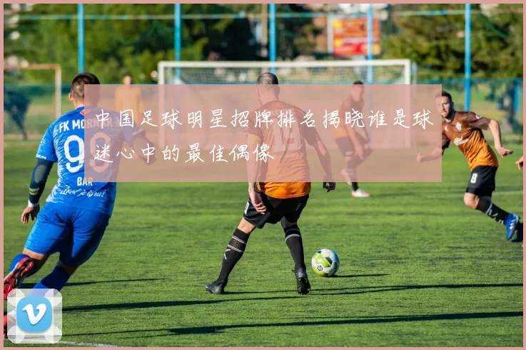 中国足球明星招牌排名揭晓谁是球迷心中的最佳偶像