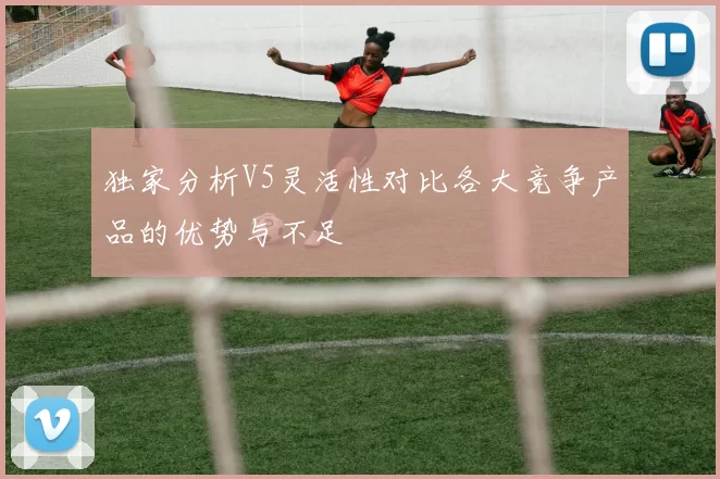 独家分析V5灵活性对比各大竞争产品的优势与不足