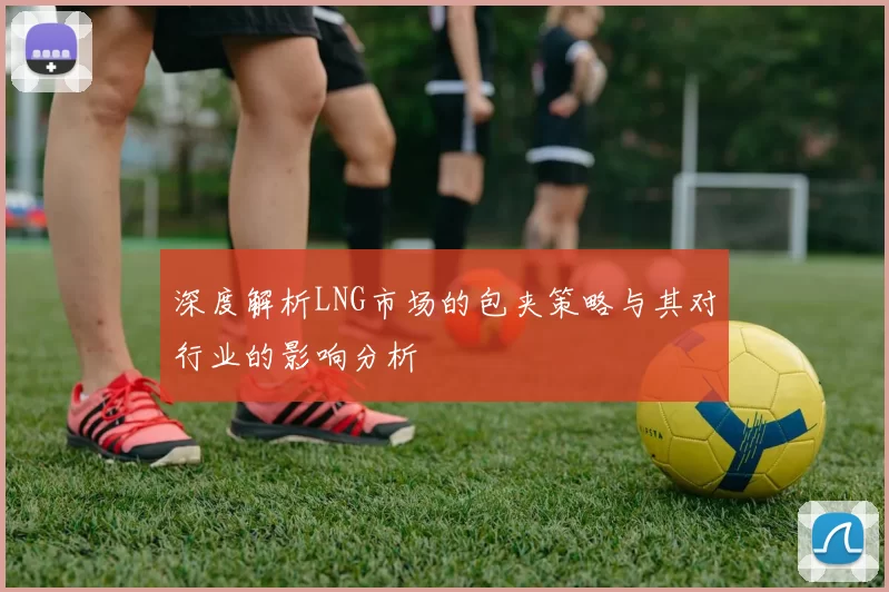 深度解析LNG市场的包夹策略与其对行业的影响分析