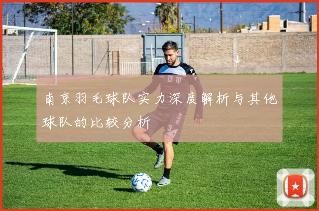 南京羽毛球队实力深度解析与其他球队的比较分析