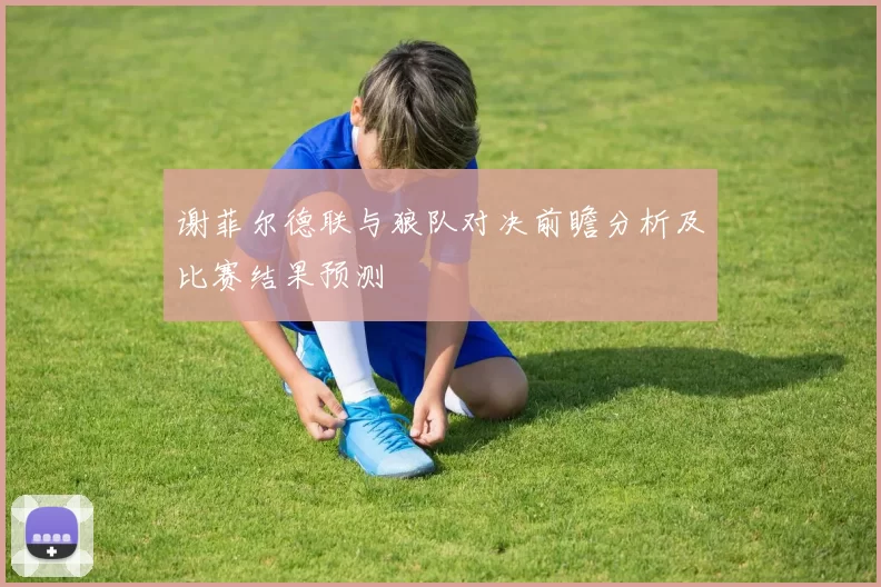 谢菲尔德联与狼队对决前瞻分析及比赛结果预测
